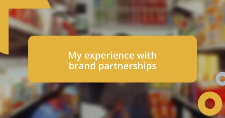 My experience with brand partnerships